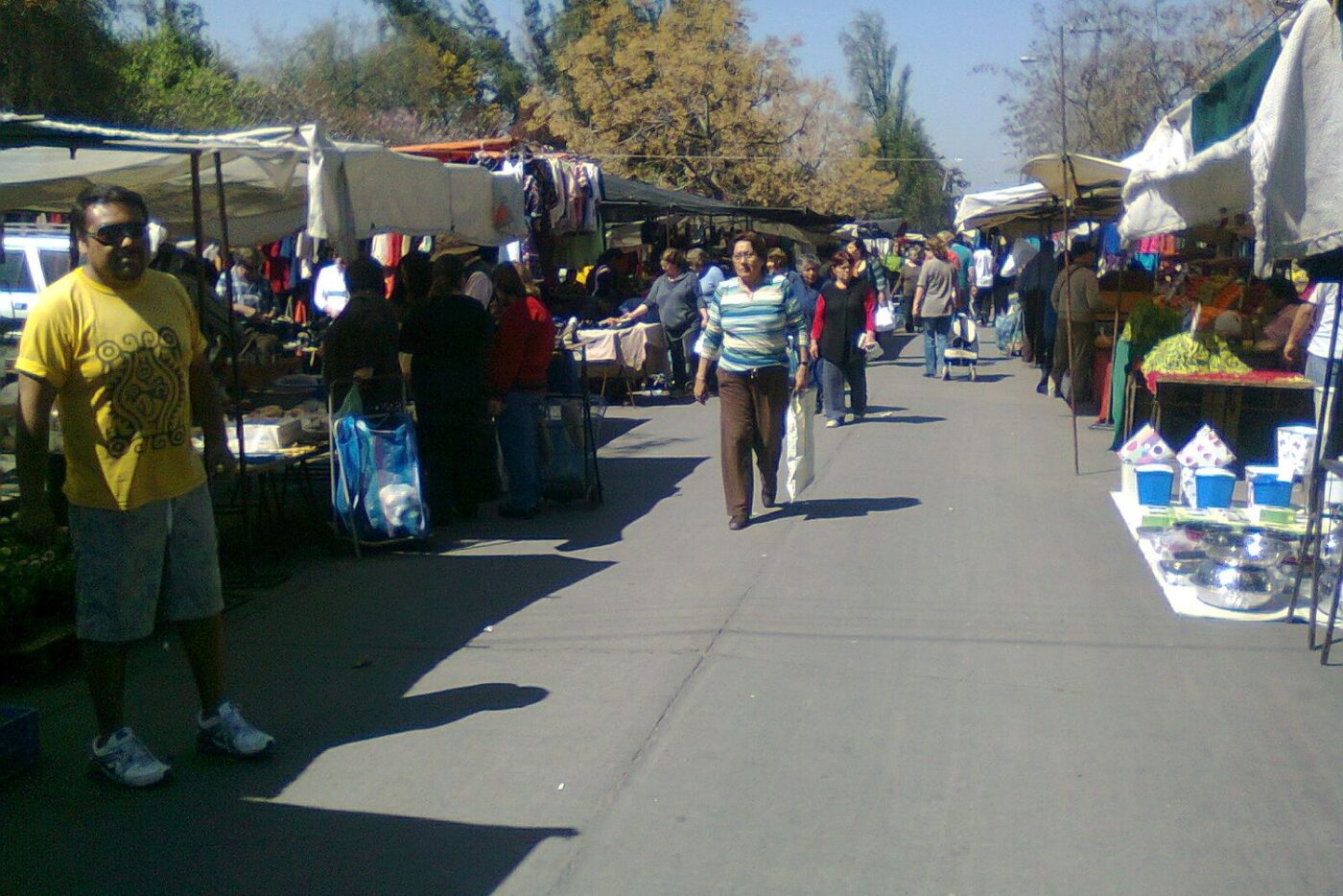 Feria libre en Maipú