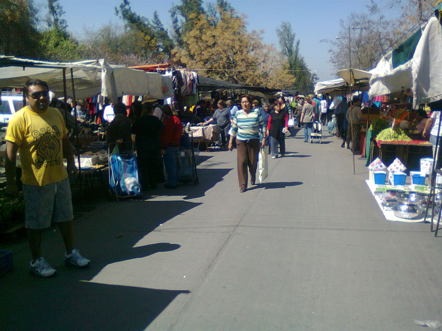 Feria libre en Maipú