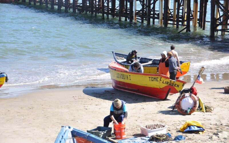 Pescadores en Tomé, región del Biobío